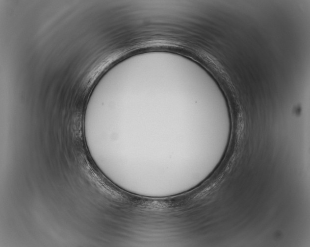 X0000115491321200912041007