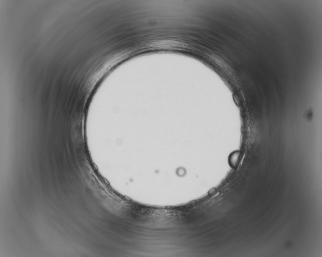 X0000115491322200912041007