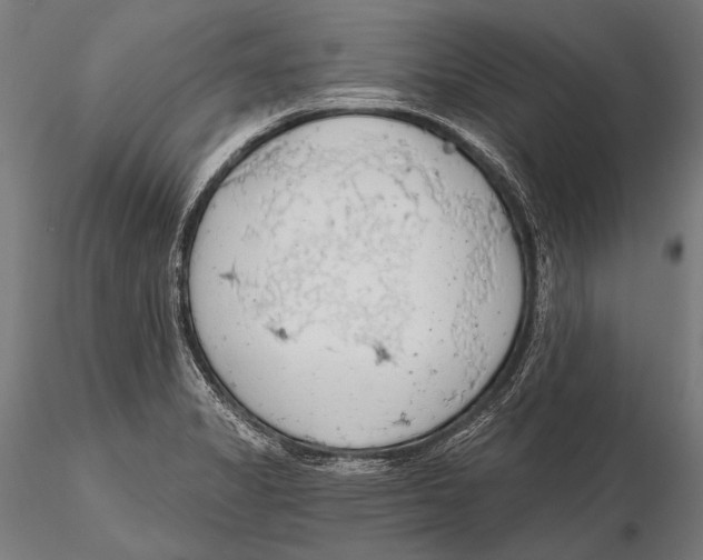 X0000115491325200912041007