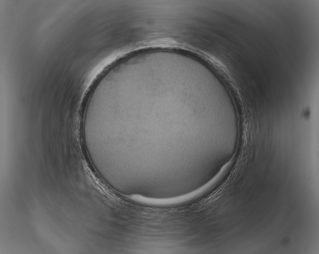 X0000115491326200912041007