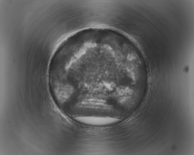 X0000115491327200912041007