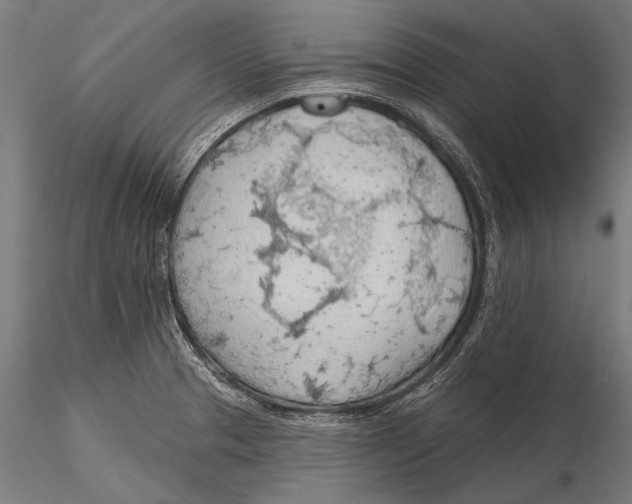 X0000115491329200912041007