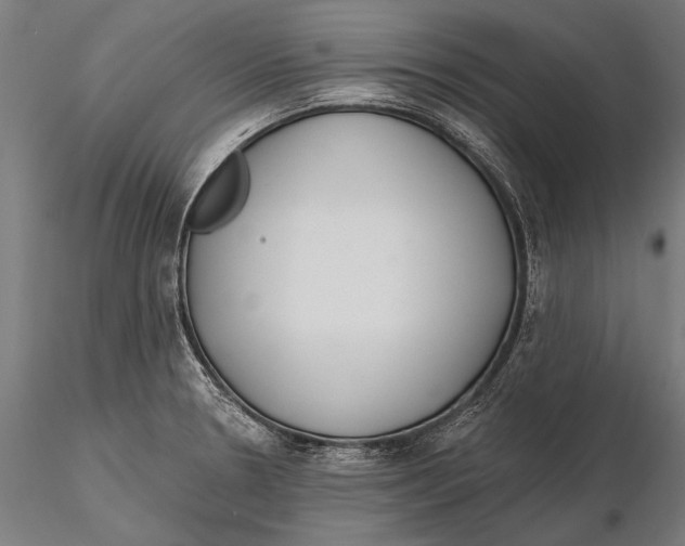 X0000115491330200912041007