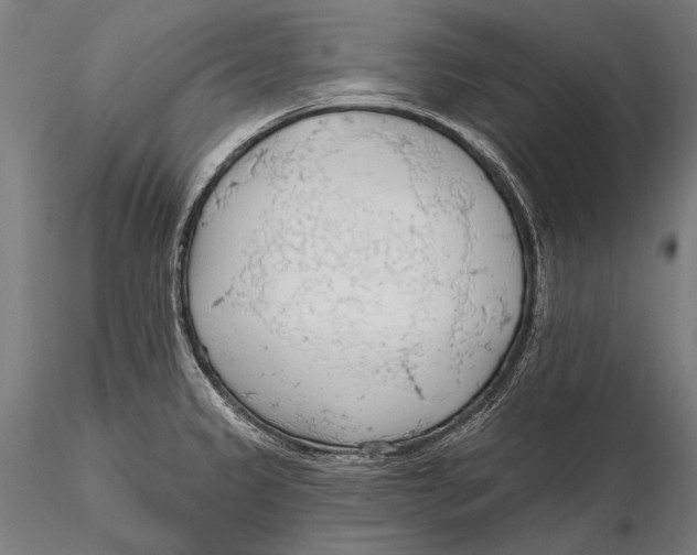 X0000115491333200912041007