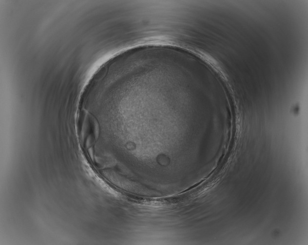 X0000115491334200912041007