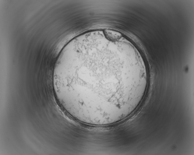 X0000115491337200912041007