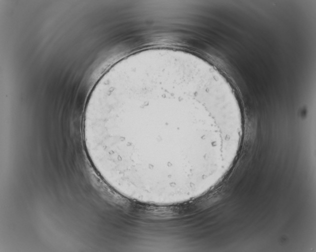 X0000115491338200912041007