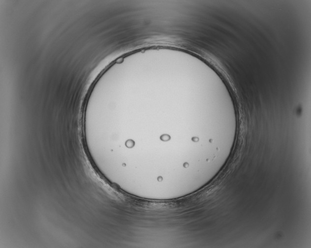 X0000115491339200912041007