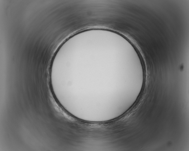 X0000115491341200912041007