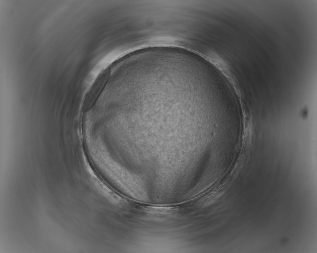 X0000115491342200912041007