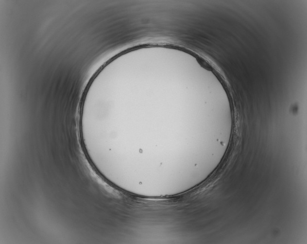 X0000115491343200912041007