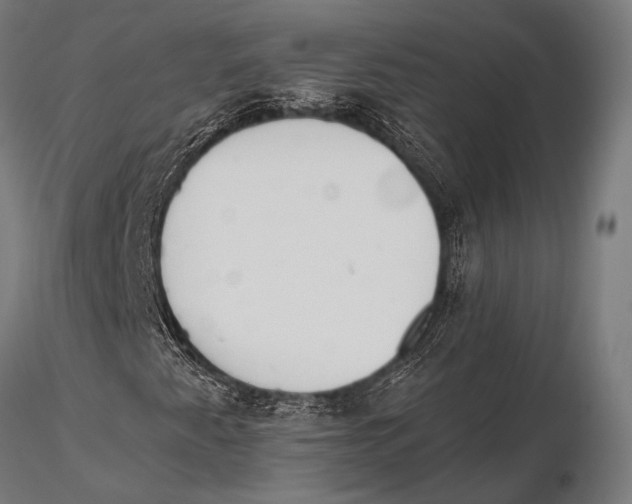 X0000115491345200912041006