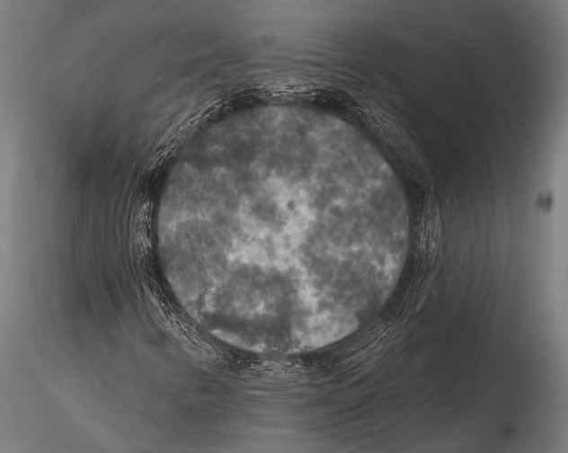 X0000115491346200912041006