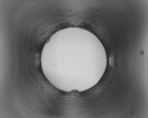 X0000115491347200912041006