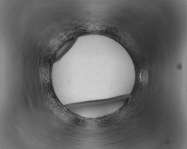 X0000115491348200912041006