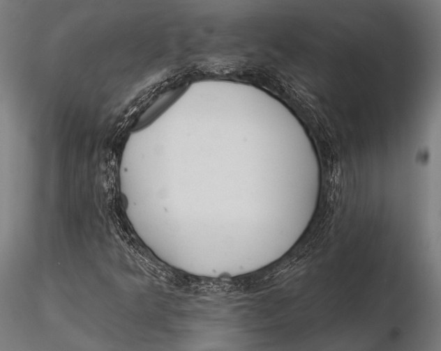 X0000115491349200912041006