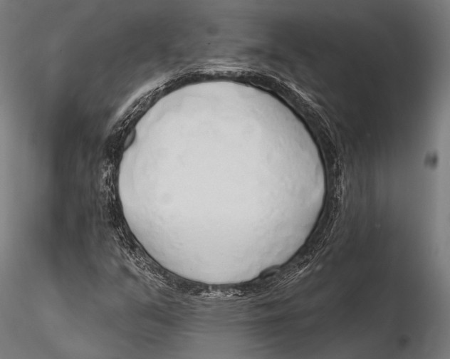 X0000115491351200912041006