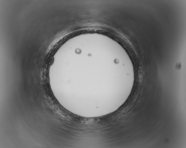 X0000115491352200912041006