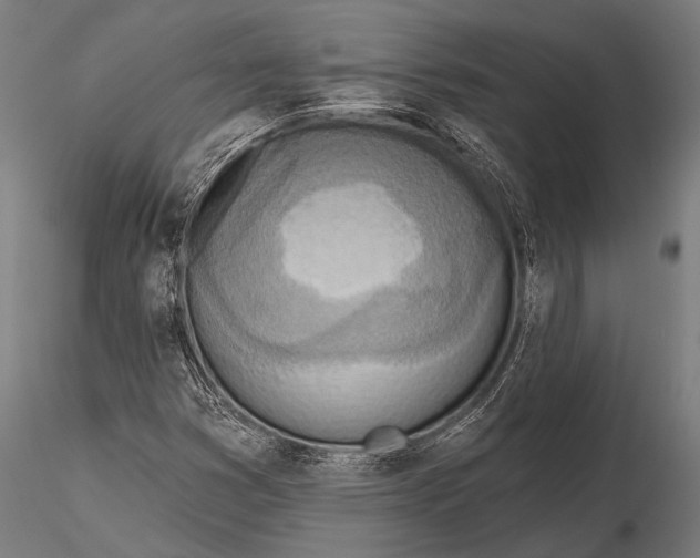 X0000115491353200912041006