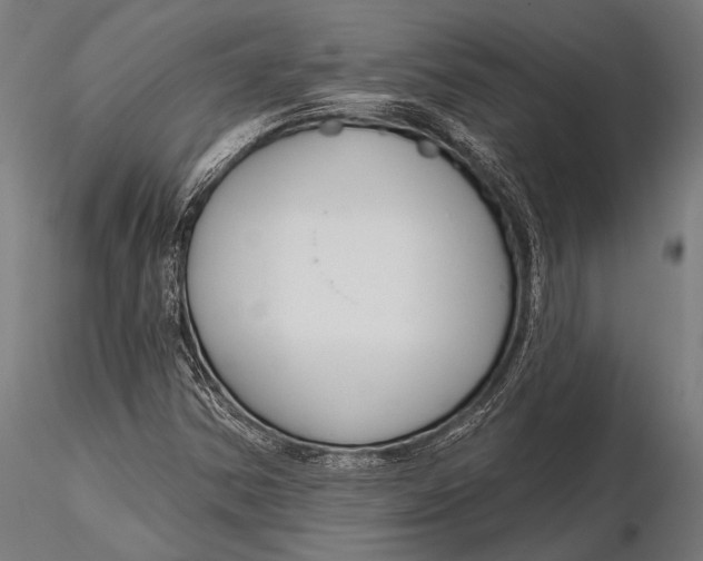 X0000115491354200912041006