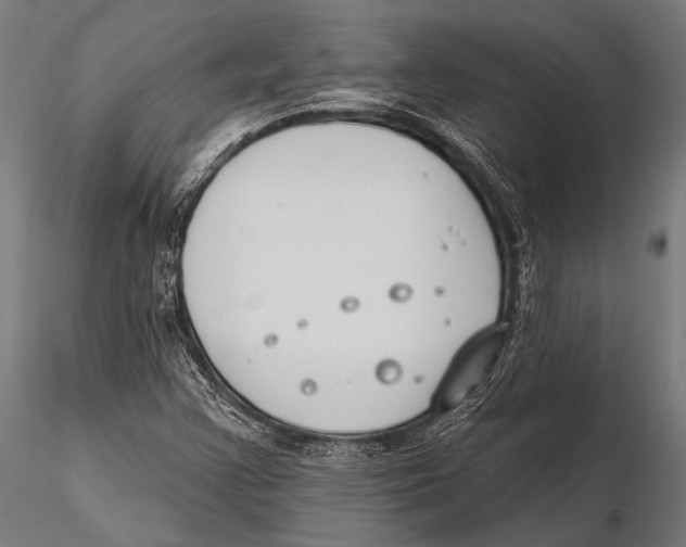 X0000115491355200912041006