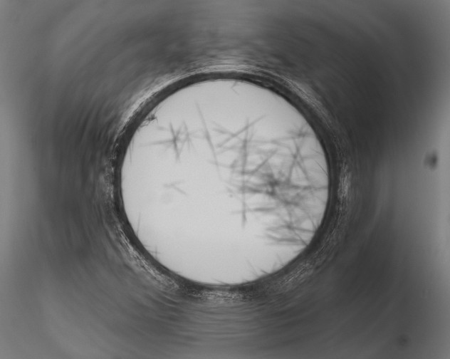 X0000115491356200912041006