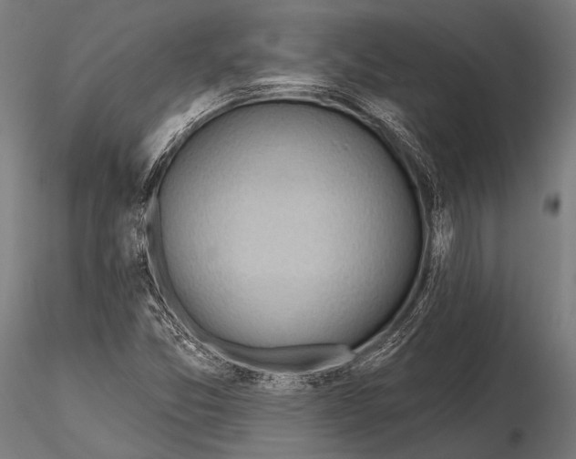 X0000115491357200912041006