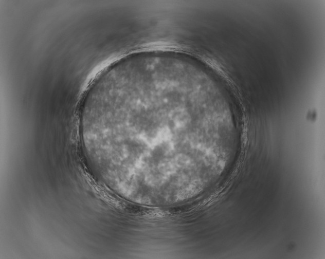 X0000115491358200912041006