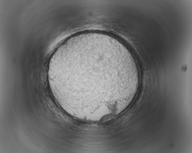 X0000115491359200912041006