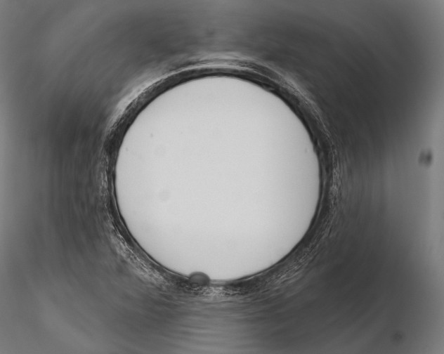 X0000115491360200912041006