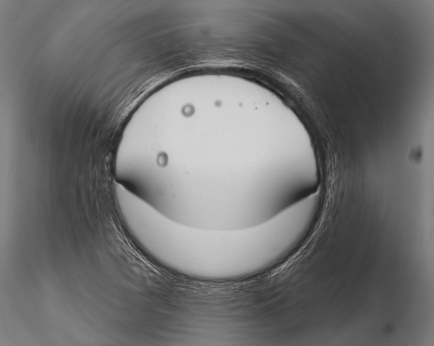 X0000115491361200912041006