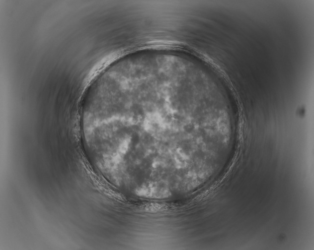 X0000115491362200912041006
