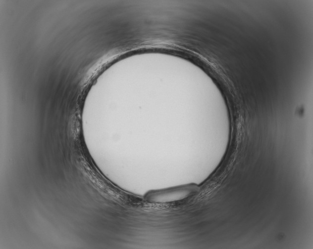 X0000115491363200912041006