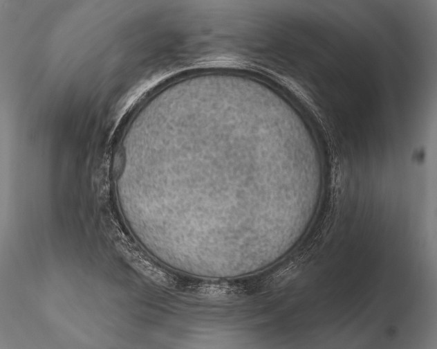 X0000115491364200912041006