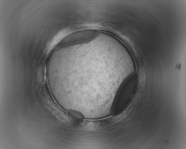 X0000115491365200912041006