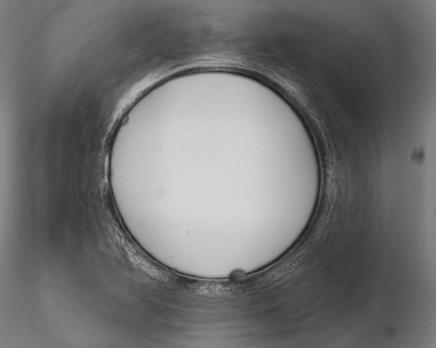 X0000115491366200912041006