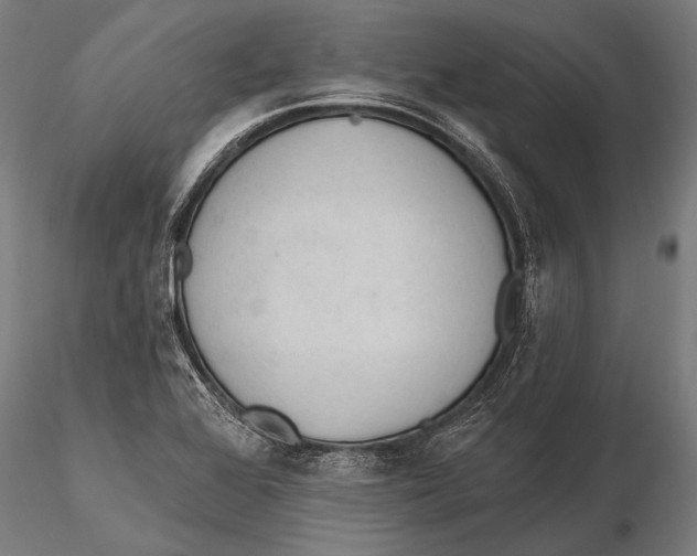 X0000115491368200912041006