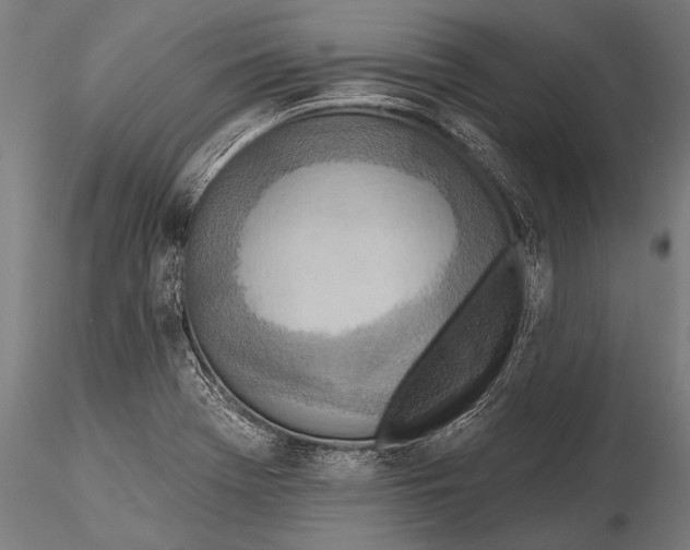 X0000115491369200912041006