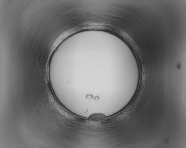 X0000115491370200912041006