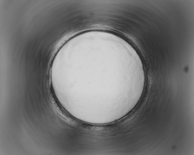 X0000115491371200912041006