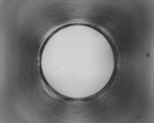 X0000115491372200912041006