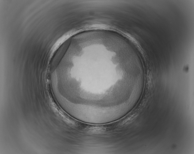 X0000115491373200912041006