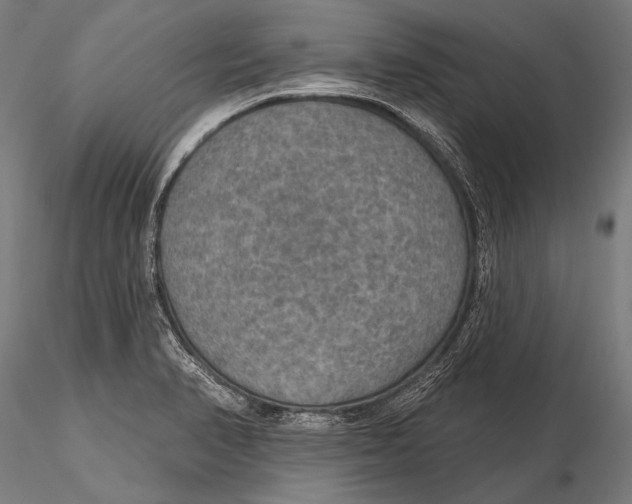 X0000115491374200912041006