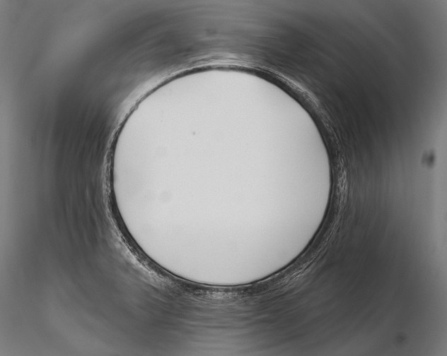 X0000115491375200912041006