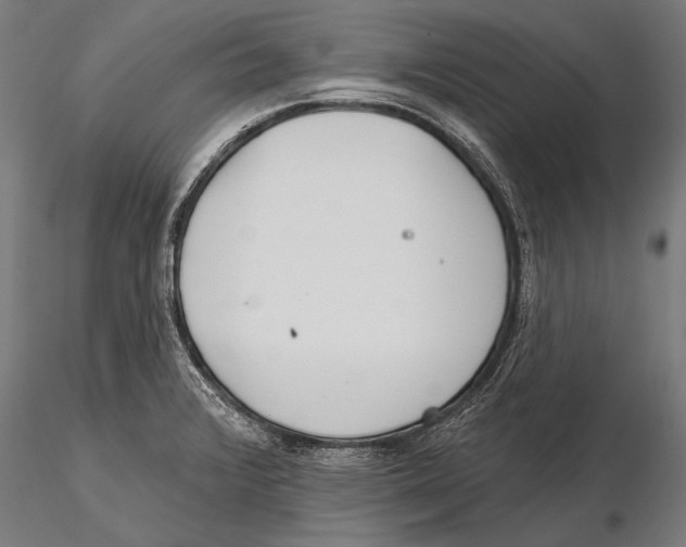 X0000115491376200912041006