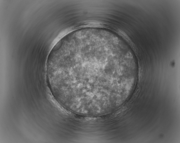 X0000115491378200912041006