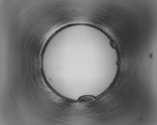 X0000115491380200912041006
