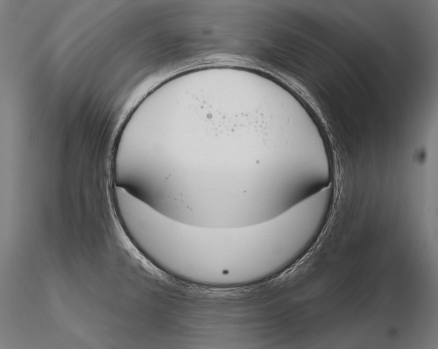 X0000115491381200912041006