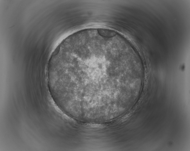 X0000115491382200912041006