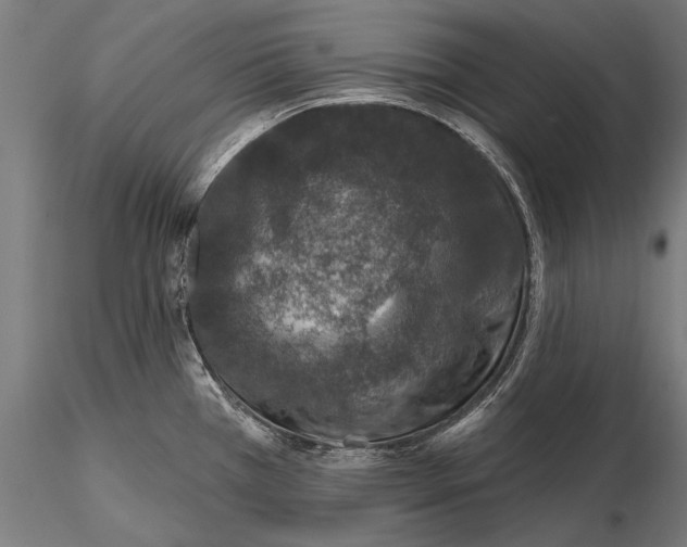 X0000115491385200912041006